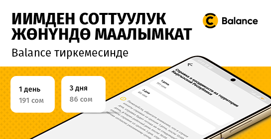 Balance аркылуу ИИМдин соттолбогондугу жөнүндө маалымкатын алуу оңой