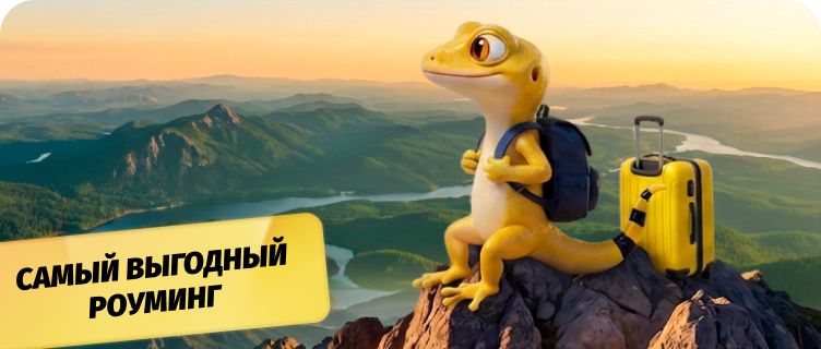 Роуминг