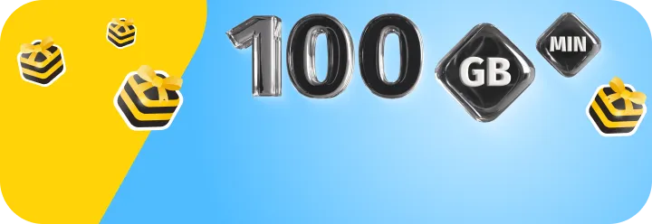 Бул 100 GB