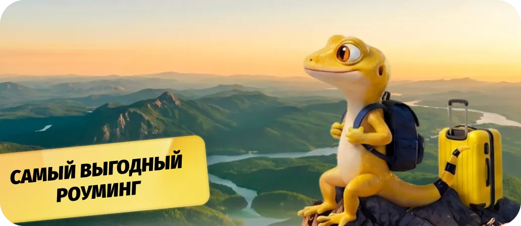 Роуминг