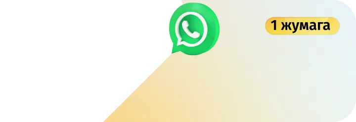Чексиз WhatsApp