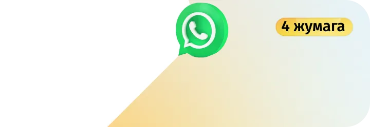 Чексиз WhatsApp